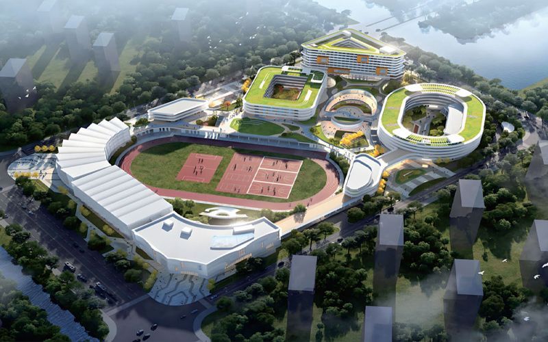 ���ݵ�����Сѧ